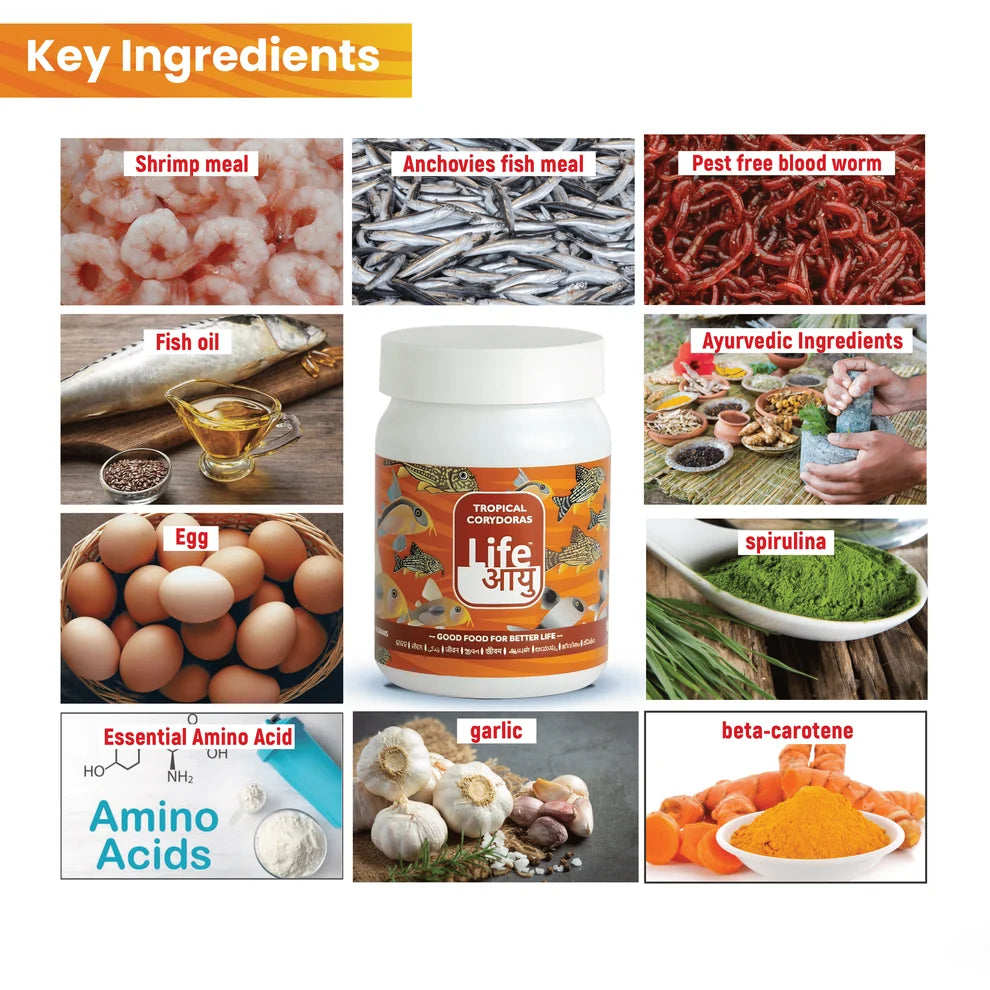 Life AAYUH Tropical Corydoras Fish Food (45g) | Sinking Micro Pellets for Corydoras, Loaches & Catfish | Supports Growth, Digestion & Immunity