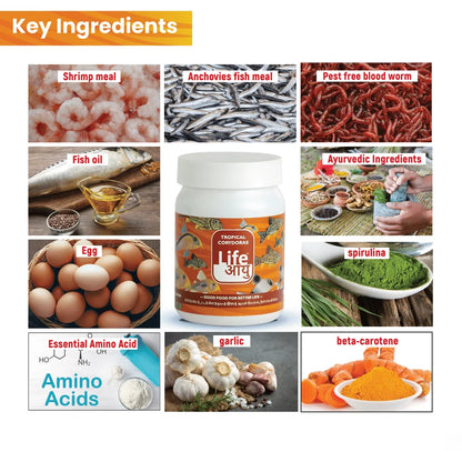 Life AAYUH Tropical Corydoras Fish Food (45g) | Sinking Micro Pellets for Corydoras, Loaches & Catfish | Supports Growth, Digestion & Immunity