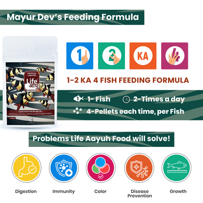 Life Aayu Tropical Loaches 15gm