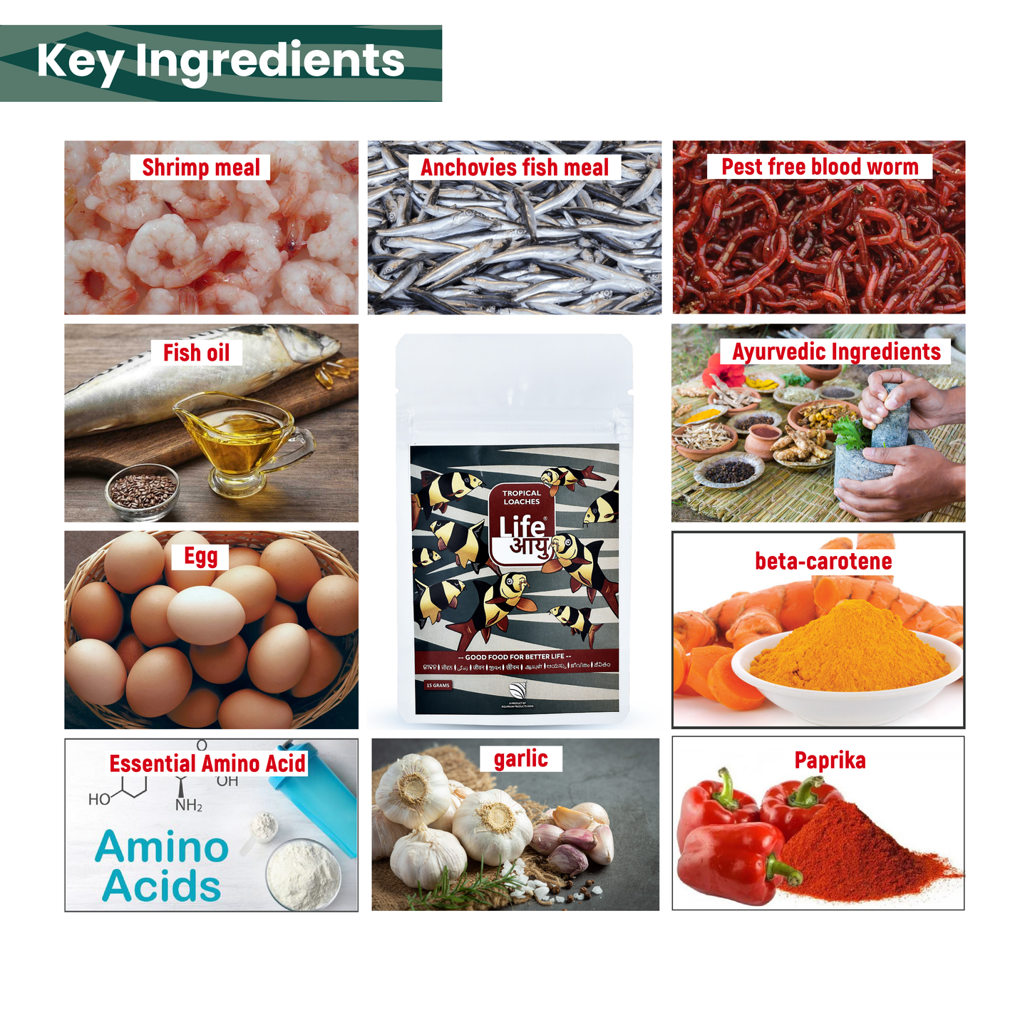 Life Aayu Tropical Loaches 15gm