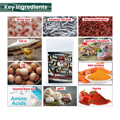 Life Aayu Tropical Loaches 15gm