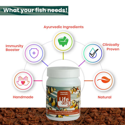 Life AAYUH Tropical Loaches Fish Food (45g) | High-Protein Micro Pellets for Kuhli, Clown & Yoyo Loaches | Supports Growth, Digestion & Immunity