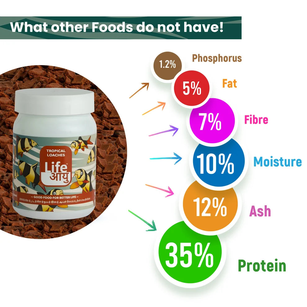 Life AAYUH Tropical Loaches Fish Food (45g) | High-Protein Micro Pellets for Kuhli, Clown & Yoyo Loaches | Supports Growth, Digestion & Immunity