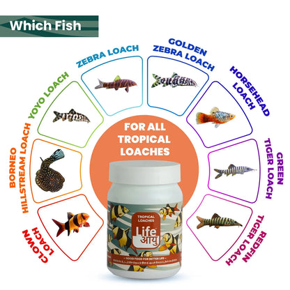 Life AAYUH Tropical Loaches Fish Food (45g) | High-Protein Micro Pellets for Kuhli, Clown & Yoyo Loaches | Supports Growth, Digestion & Immunity