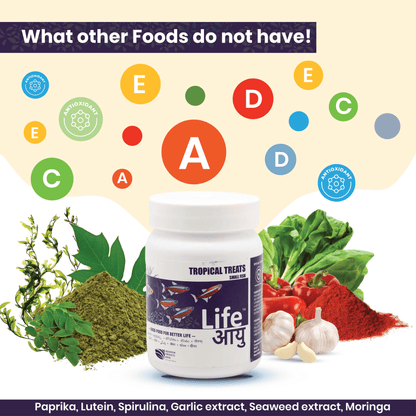 Life AAYU Tropical Treats Fish Food – Ayurvedic Immunity Boost Pellets for Small Tropical Fish | Spirulina, Moringa, Garlic &amp; Color Enhancers (70g)