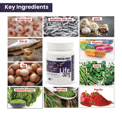 Life AAYU Tropical Treats Fish Food – Ayurvedic Immunity Boost Pellets for Small Tropical Fish | Spirulina, Moringa, Garlic &amp; Color Enhancers (70g)