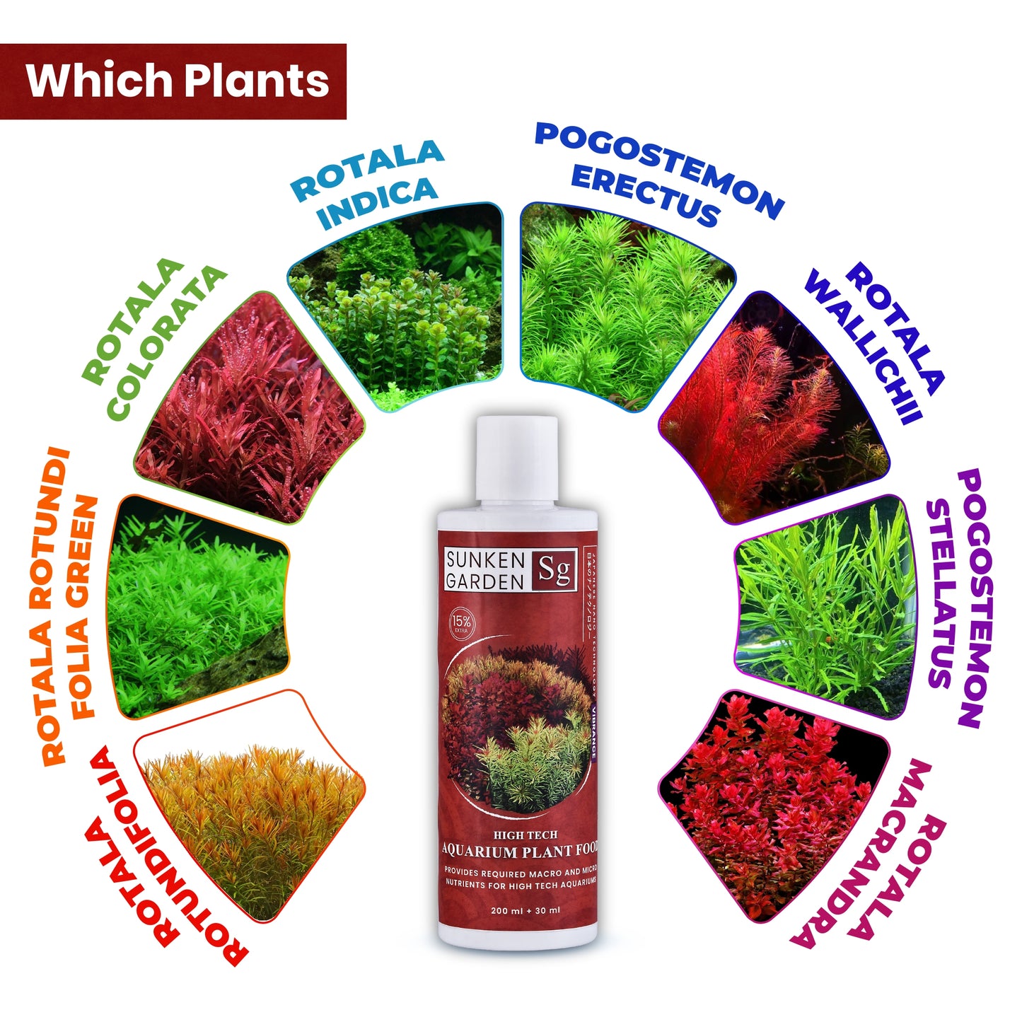 Sunken Garden Vibrance – Dutch-Style Aquarium Fertilizer | All-in-One Formula for Bushy Plant Growth | CO₂ & Non-CO₂ Compatible