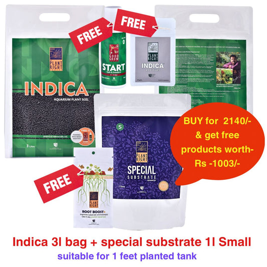 Indica Aqua Soil Combo Pack 3L