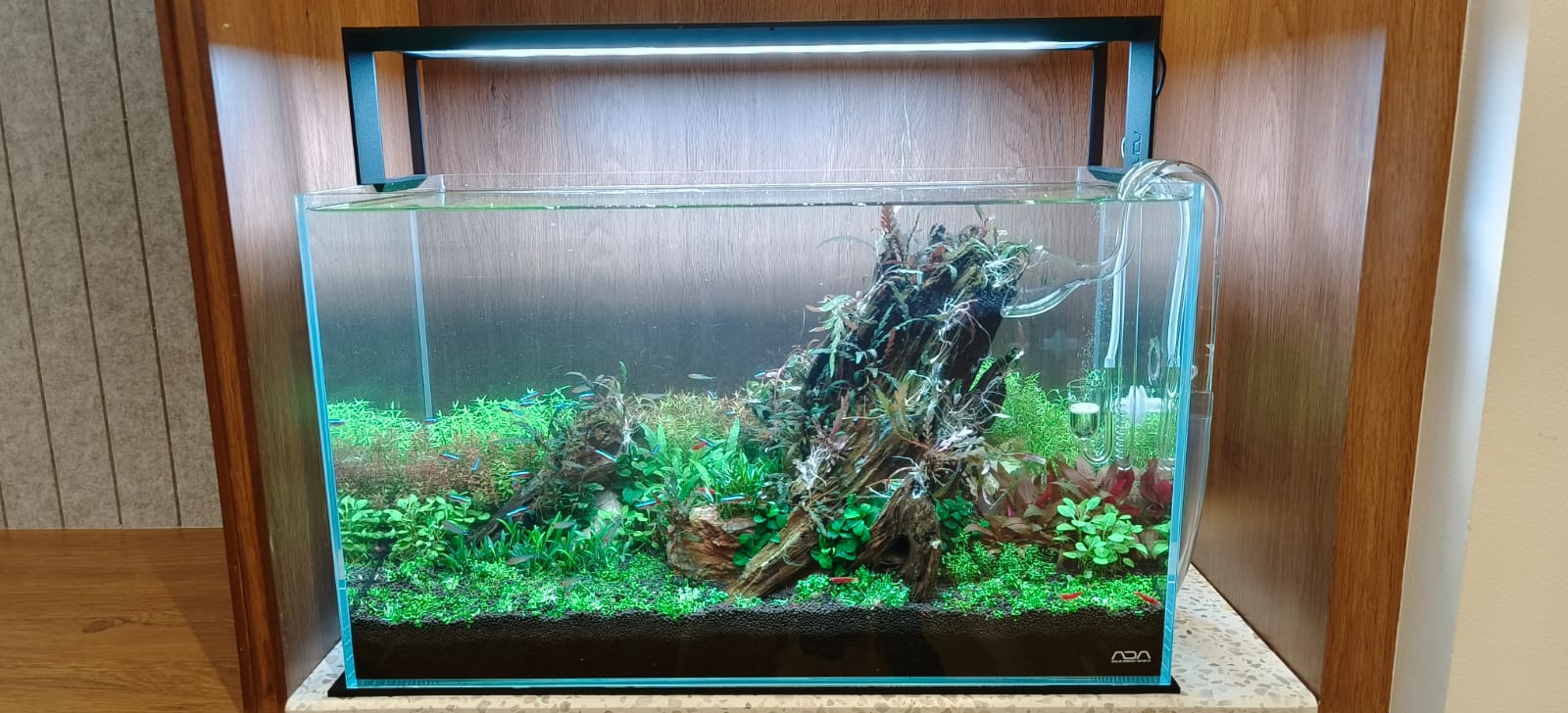 ADA Aquasky RGB 60 – My Aquarium Store