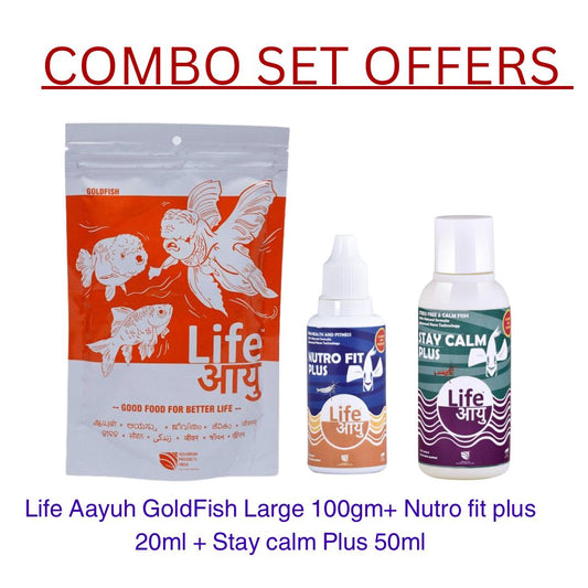 Gold fish Large Combo Offer