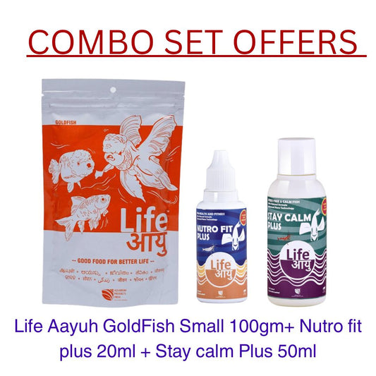 Gold fish Small Combo Offer