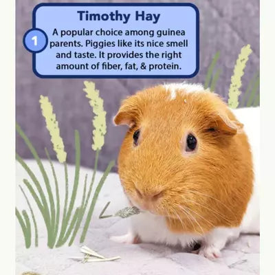 INR'S Farm Fresh Premium Timothy Hay for Guineapigs