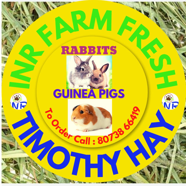 INR'S Farm Fresh Premium Timothy Hay for Guineapigs